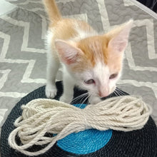 Load image into Gallery viewer, Sisal Rope for Cat Tree Cat Climbing Frame DIY cats scratching post toys making desk legs binding rope for cat sharpen claw