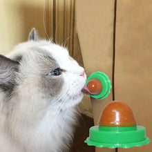 Load image into Gallery viewer, Cat Treating Energy Licking Sugar Ball with Natural Catnip Snack Toy With Cover Sucker Power Up Vitamin Nutrition Kitten Supply
