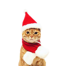 Load image into Gallery viewer, Pet Dog Cat clothes costume halloween cat hat scarf suit cloak dress up New Year pet costume cloak Christmas clothes mascotas