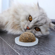Load image into Gallery viewer, Natural Cat Toy Sugar Addicted Catnip Toys For Cats With Cover Spewing Hair Vitamin Supplement Adult Cat Supplies Pet Products